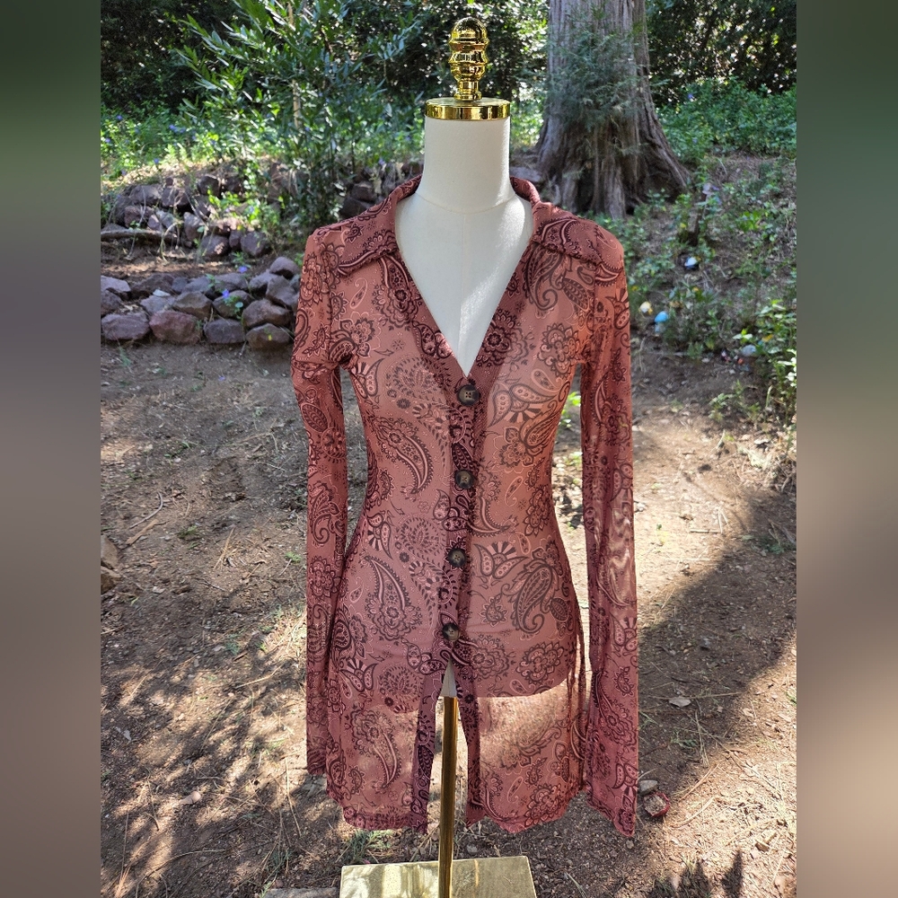 Shein Small Paisley Button-Front Sheer Long Sleeve Top In The Color Rust